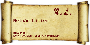 Molnár Liliom névjegykártya
